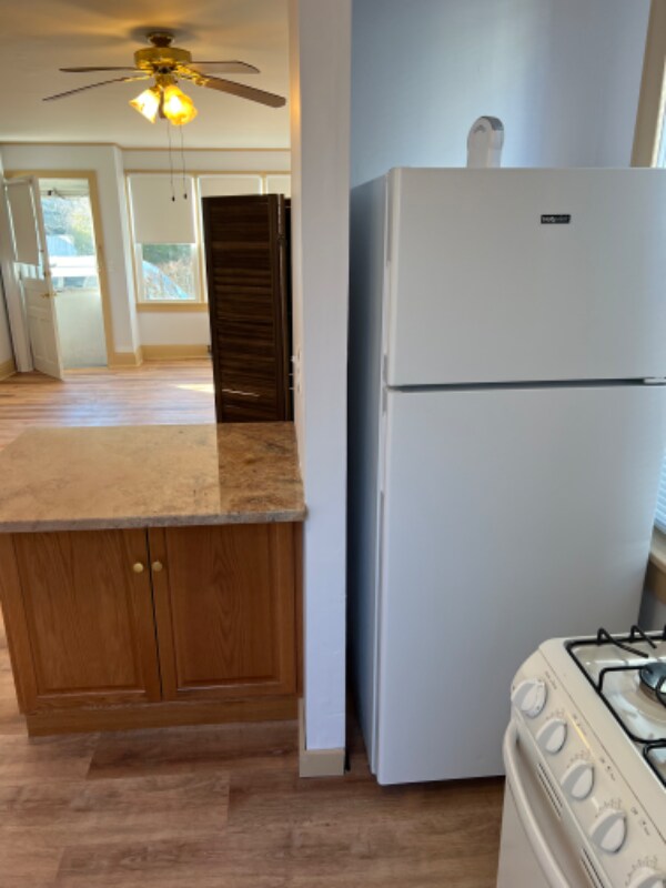 81 E Pleasant Ave Unit 1, Maywood, NJ 07607 Room for Rent in Maywood