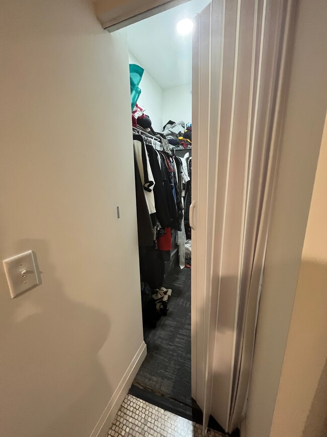 Master Closet - 471 Delaware Ave