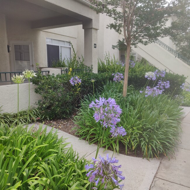Foto del edificio - 147 Sandpiper Ln