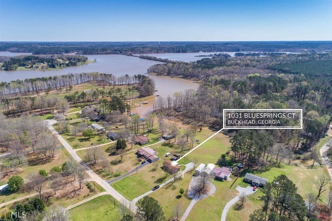 Building Photo - 1031 Blue Springs Ct