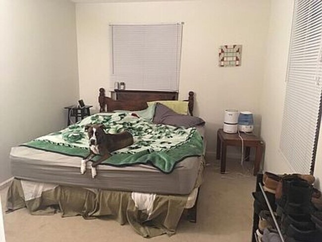 Foto del edificio - 3 Bedroom Apartment Near College Mall