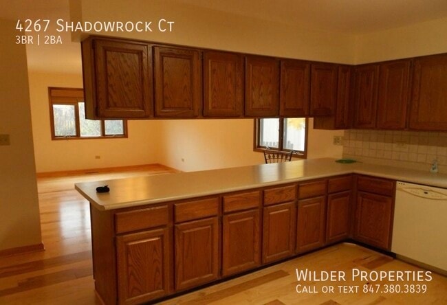 Building Photo - 4267 Shadowrock Ct