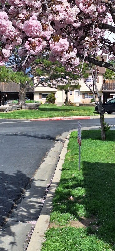 Foto del edificio - 1896 W Homestead Farms Ln