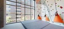 This state-of-the-art indoor climbing facility is designed to accommodate climbers of varying skill levels within a modern, purpose-built environment. The centerpiece of the space is a dramatic multi-panel rock climbing wall that rises to impressive heights, featuring a wide array of colorful holds set across angled and vertical surfaces. Multiple rope systems hang from the upper structure, complete with harness storage, supporting both top-rope and lead climbing activities. Thick, padded crash mats line the base of the wall, ensuring safety during bouldering and climbing sessions. The flooring throughout is a durable, textured rubberized surface well-suited for athletic use. Expansive floor-to-ceiling glass curtain walls flood the space with abundant natural light and frame sweeping views of the surrounding cityscape and lush tree canopies. Built-in bench seating with storage cubbies beneath runs along the perimeter near the glass walls, providing a comfortable area for climbers to prepare or rest. Exposed ductwork and industrial-style ventilation contribute to the facility's contemporary, utilitarian aesthetic. An adjacent fitness area is visible through the glass partition, expanding the overall athletic offering of the space. The high ceilings and open layout create an energizing atmosphere ideal for training and recreation.