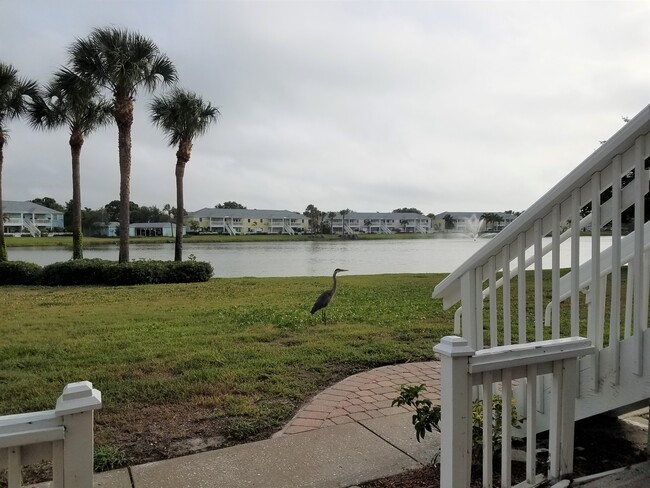 Patio View - 113 Seahorse Dr SE