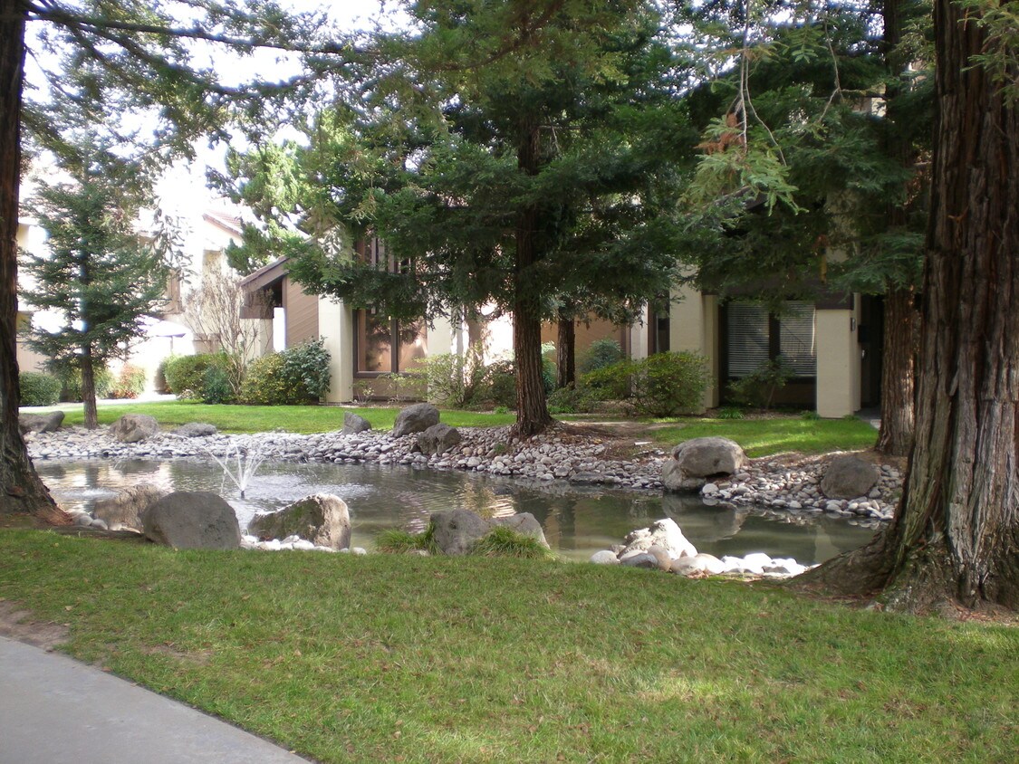 3700 Tully Rd, Modesto, CA 95356 Condo for Rent in Modesto, CA