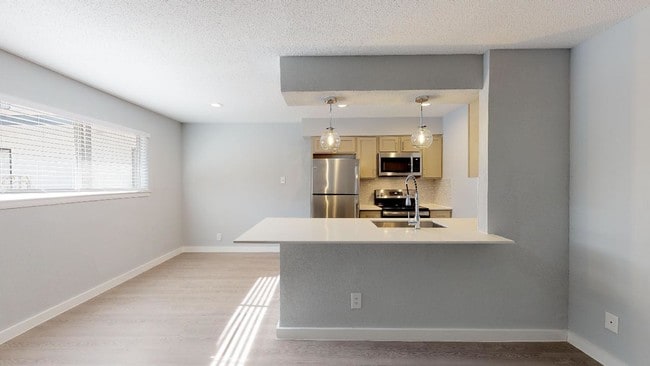 Newly Renovated - Tesoro Bonita