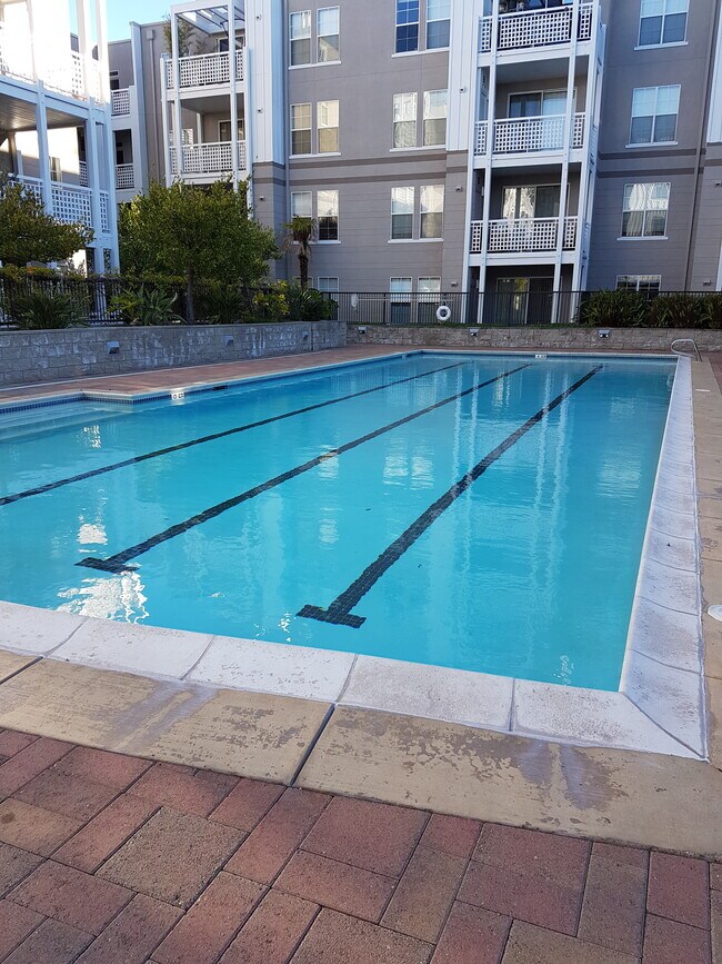 Foto del edificio - 3901 Lick Mill Blvd