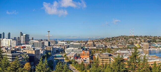 bell view apartments seattle wa apartments com