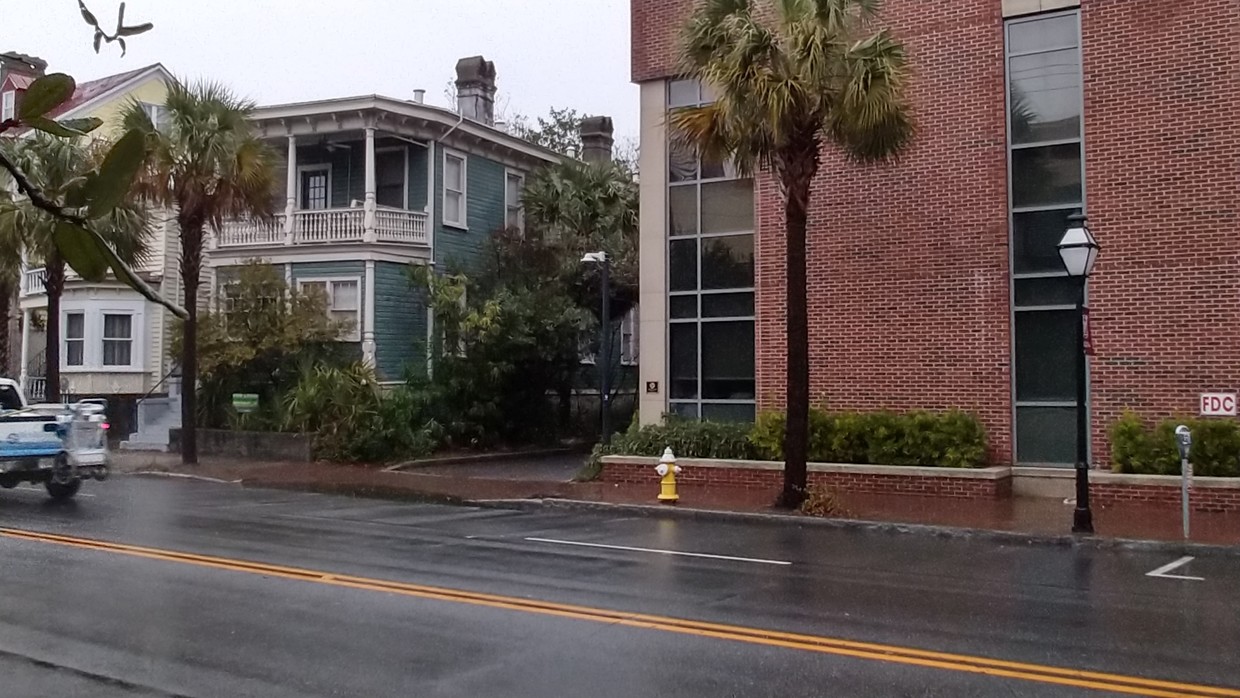 View of 206 Calhoun from CofC Library - 206 Calhoun St