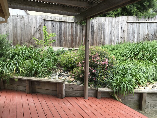 Shared backyard - 2529 Holly View Dr
