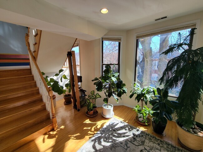 Foto del edificio - 3338 N Hamilton Ave