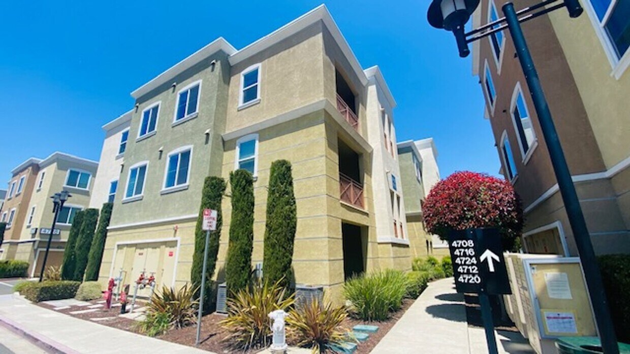4720 Norris Canyon Rd Unit 201, San Ramon, CA 94583 Condo for Rent in