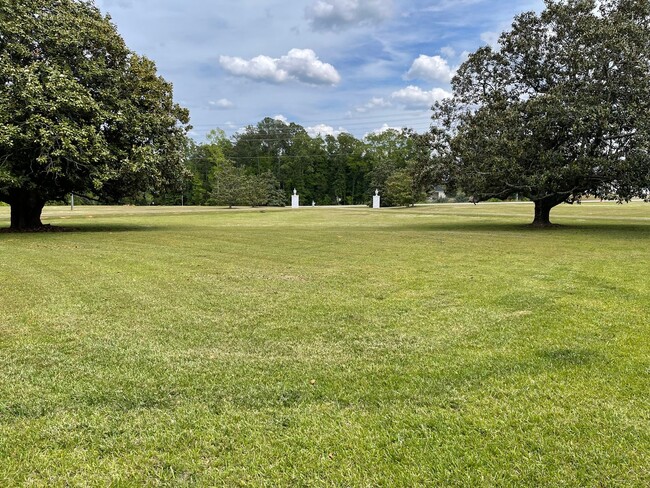 Building Photo - 17 Acres with enormous Magnolia trees