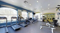 This fitness center offers a comprehensive workout environment designed to accommodate a variety of exercise routines. The space is outfitted with an array of cardio equipment, including treadmills, ellipticals, and rowing or cycling machines, all arranged to maximize floor space and ease of movement. Strength training equipment and a dedicated free weights area with a bench round out the full-body workout options available.

The interior features bold blue accent walls contrasted against crisp white ceilings, creating a vibrant and energizing atmosphere. Large arched windows line the walls, flooding the space with abundant natural light and offering views of the surrounding outdoor greenery. Mirrored walls enhance the sense of openness and allow users to monitor their form during workouts.

Recessed lighting in the white ceiling supplements natural light, ensuring the space remains well-lit at all hours. A wall-mounted television provides entertainment for cardio sessions. The flooring consists of durable rubber material suited for high-traffic fitness use. The overall ambiance is clean, modern, and purposefully designed to motivate and support an active lifestyle.
