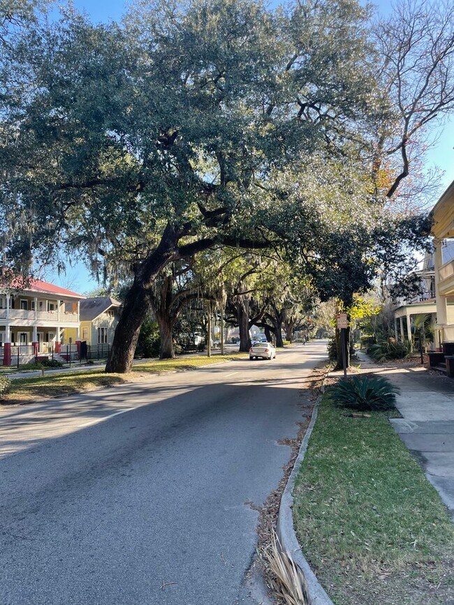 Building Photo - UPDATED DUPLEX- LOWER UNIT- WALK TO STARLA...