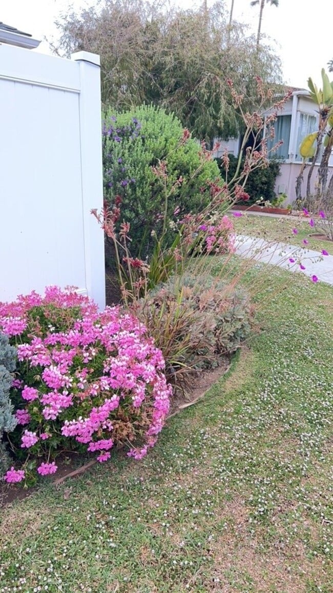 Building Photo - 1 Block from the Beach! Apartment Home in Ocean Beach! Private Garage! Private Patio!