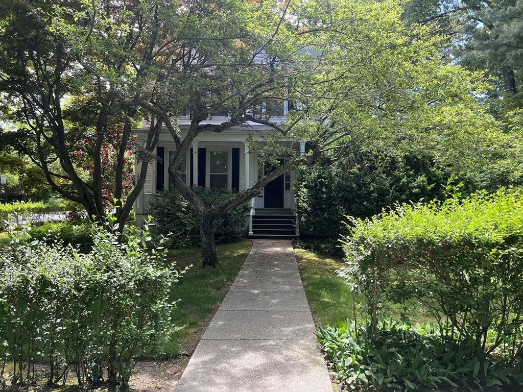 Primary Photo - 6 Floral St