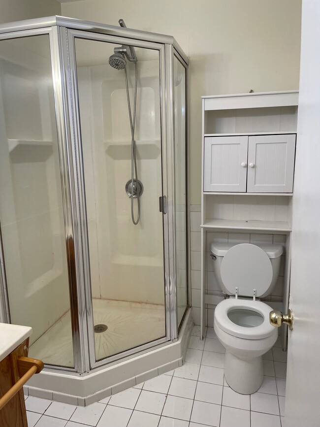 shower bath - 462 Main St