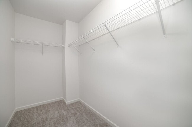 Building Photo - 11033 Ardglass Ct