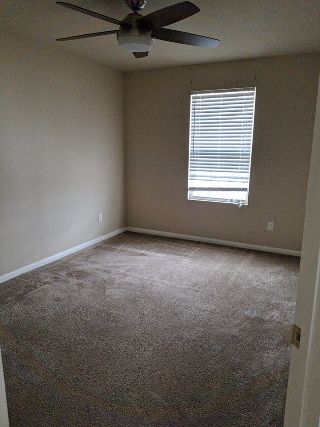 13501 Cantarra Dr, Pflugerville, TX 78660 House Rental in