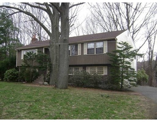 Primary Photo - 21 Langdon Rd