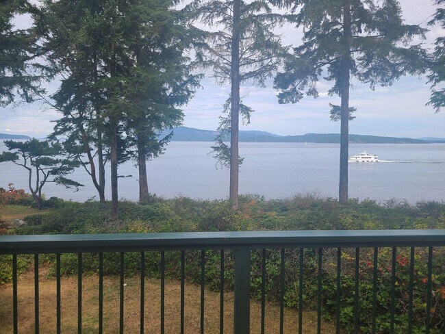 Foto del edificio - Charming Waterfront Cabin on San Juan Driv...