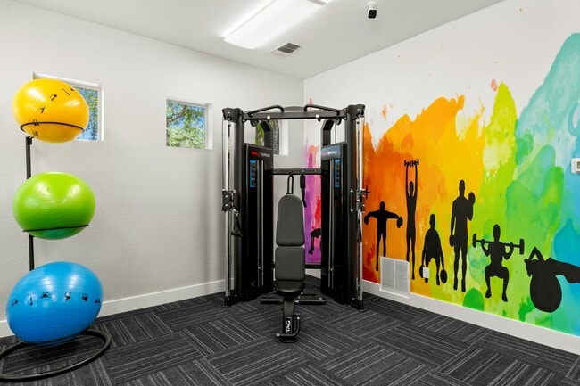 Functional Trailer & Fitness Balls - Miramar