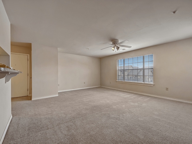 A Blank Canvas for Your Design - The Reserve at Abilene