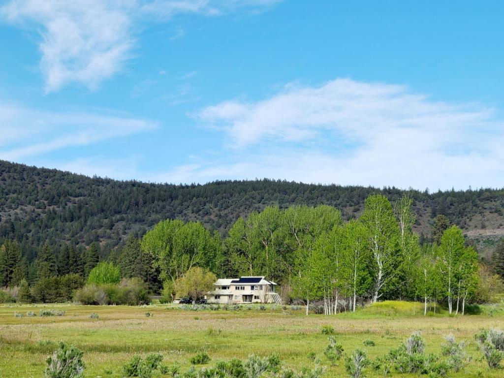 Primary Photo - 30242 Hwy 97 N