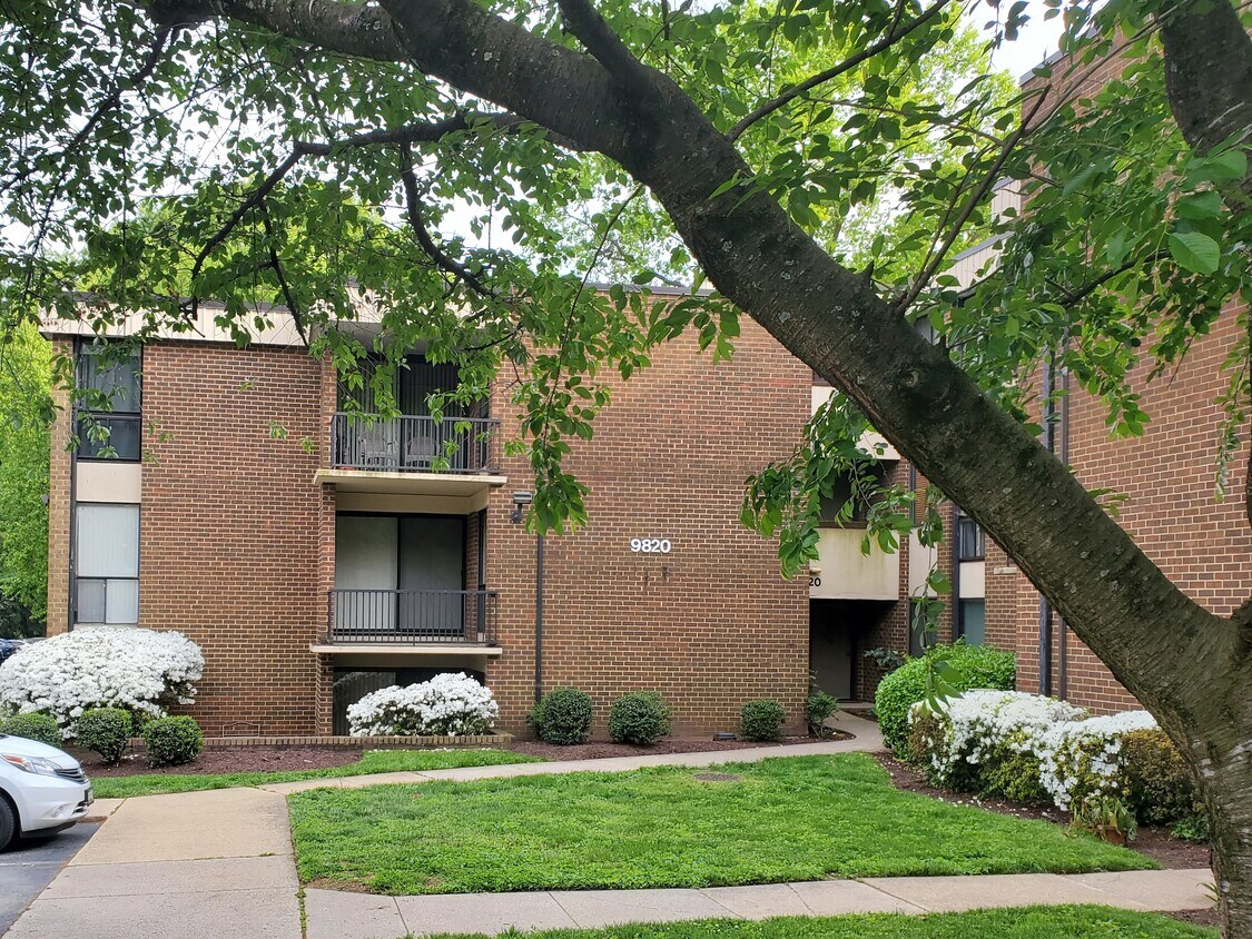 9820 Ave Unit 101, Silver Spring, MD 20902 Condo for Rent in