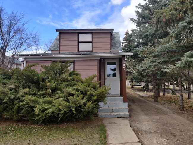 Front of house - 307 8th Ave