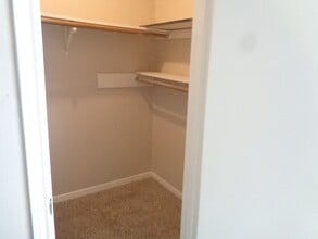 Building Photo - 5502 Deep Forest Dr