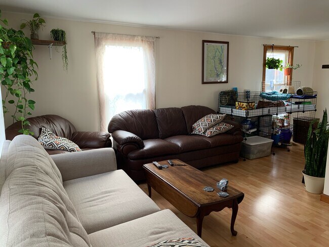 livingroom - 185 Veazie St