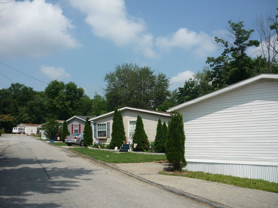 Primary Photo - Sunnyside