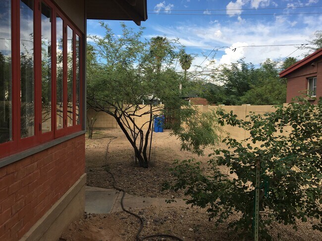 Large back yard - 1306 West Monroe Street
