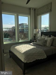 Foto del edificio - 591 Shorthorn Way