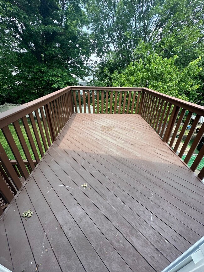 Private back deck - 45 John St