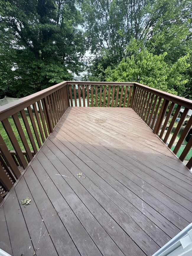 Private back deck - 45 John St