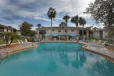 The 360 Pool area is a welcoming outdoor retreat designed for relaxation and community enjoyment. At its centerpiece sits a generously sized swimming pool with calm, clear water, surrounded by a broad brick paver deck that provides ample space for lounging and socializing. Sun chairs are arranged poolside, offering the perfect spot to soak in the Florida sunshine.

Tall palm trees punctuate the landscape, casting natural shade across the patio and lending a distinctly tropical character to the environment. Blue market umbrellas shade outdoor dining tables and chairs, creating comfortable gathering spots for residents throughout the day.

The area is enclosed by a combination of low stucco walls and sleek metal fencing, with a gated entryway that provides both security and a sense of arrival. Decorative globe light fixtures flank the entrance, adding an elegant touch. Lush tropical plantings, including flowering hibiscus and manicured shrubs, line the pathways and borders, enhancing the vibrant, resort-like atmosphere.

The winding brick paver walkway connects various seating areas and guides visitors through the space with ease. The surrounding two-story residential buildings, accented with light blue trim, frame the pool area and contribute to the cohesive, community-oriented design. Open skies above flood the entire area with natural light, creating a bright and inviting outdoor experience.
