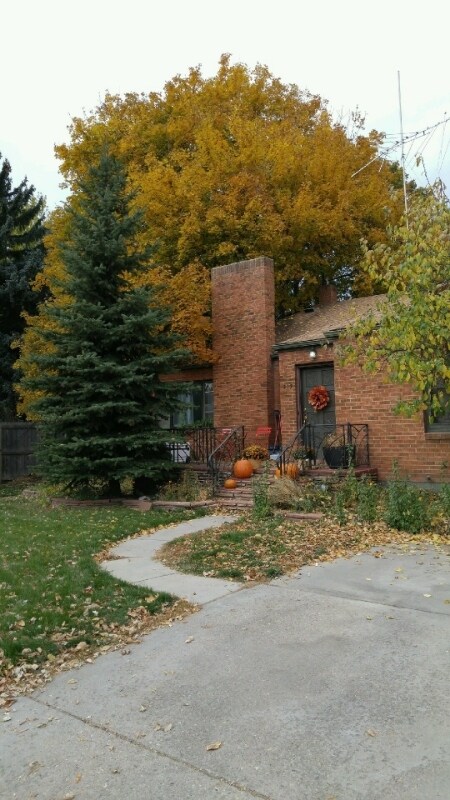 Foto principal - 317 S Shields St
