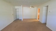 This single-floor space centers around a generously sized main room finished with neutral wall-to-wall carpeting that lends warmth underfoot. A ceiling fan with an integrated light fixture is mounted overhead, providing both air circulation and ambient lighting. The textured ceiling adds a classic touch throughout. An open closet along one wall offers convenient storage, complete with a hanging rod and visible shelving space. The room connects directly to a kitchen, visible through a wide doorway, which features warm wood-toned cabinetry that adds a natural contrast to the otherwise neutral color palette. White walls and understated finishes throughout create a clean, blank-canvas atmosphere well suited for personalization. The single-floor layout ensures easy accessibility and a straightforward flow between spaces.