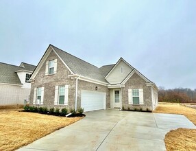 Building Photo - 8755 Shipp Cv