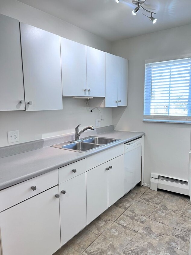 SPACIOUS 2 BR IN HYDE PARK WITH GARAGE - SPACIOUS 2 BR IN HYDE PARK WITH GARAGE