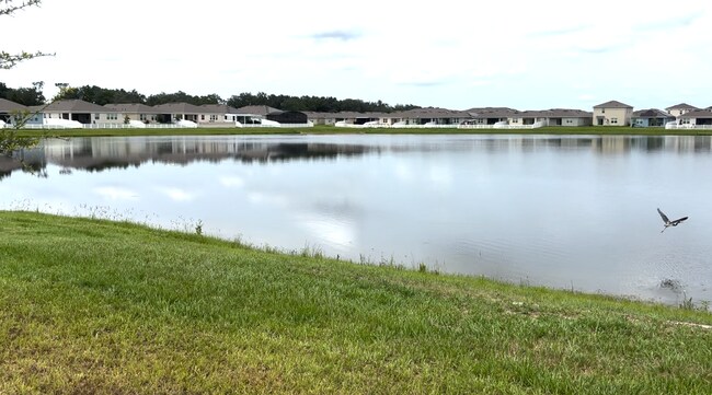 Foto del edificio - 1785 Southfork Dr