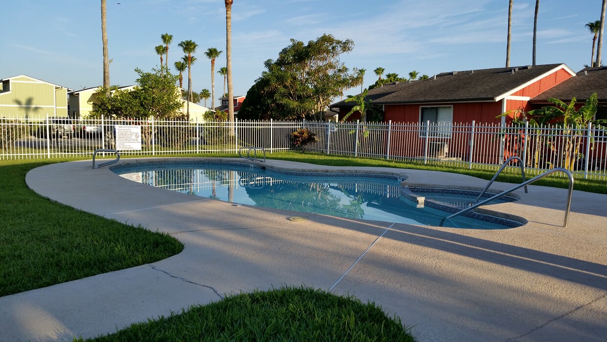 Beautifully kepted pool - 1302 Palo Blanco Dr