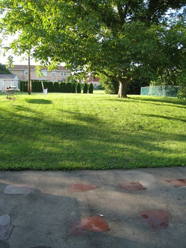 BACK YARD - 171 W 28th St