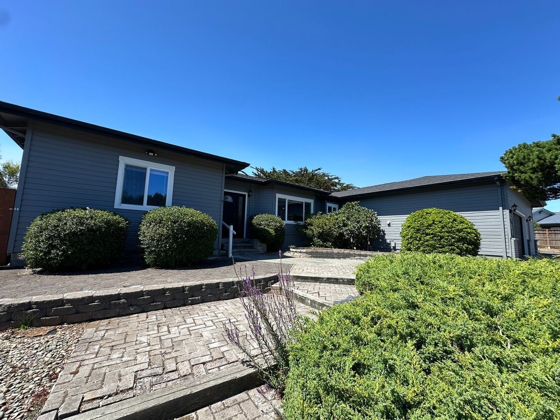 Primary Photo - Bandon-Available Now