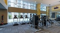 This fitness center is designed with both functionality and aesthetics in mind, offering a bright and energizing environment for residents or members. The space boasts impressive double-height ceilings with expansive floor-to-ceiling glass windows along the perimeter, flooding the interior with abundant natural light and providing unobstructed views of the surrounding outdoor area, including what appears to be a pool courtyard and adjacent building façades.

The facility is outfitted with a robust selection of modern exercise equipment, including multiple treadmills equipped with individual digital screens, elliptical machines, and a variety of cable and resistance strength-training machines arranged throughout the space. The layout allows for comfortable movement between stations.

Distinctive yellow accent columns punctuate the interior, adding a bold visual contrast against the neutral grey tones of the patterned carpet flooring and the white ceiling. Linear pendant lighting runs parallel overhead, supplementing the natural light and ensuring the space remains well-illuminated at all hours. The overall ambiance is clean, contemporary, and inviting, reflecting a professionally managed fitness amenity.