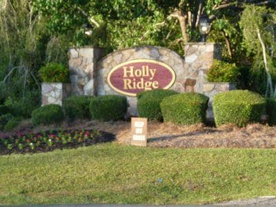 Building Photo - 509 Holly Ridge Ln